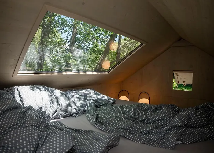 Samota Hojsin * Neustupov