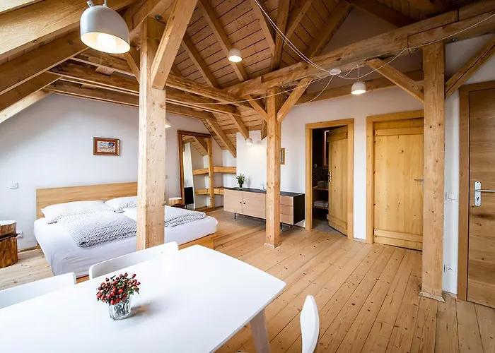 Samota Hojsin Country house Neustupov