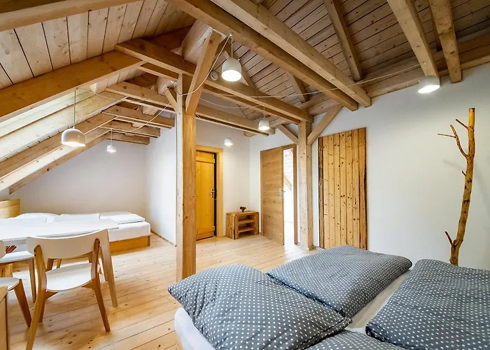 Country house Samota Hojsin *